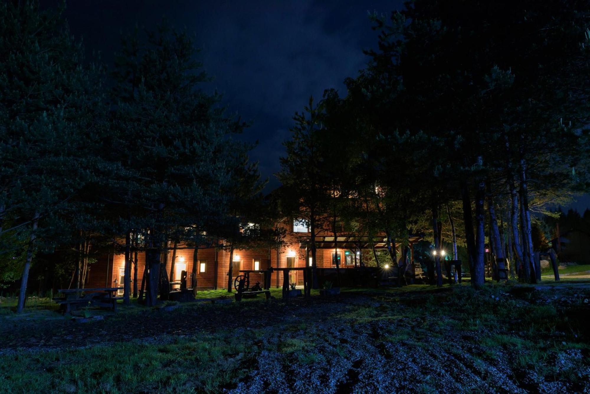 Pinus Villas Lodge With Private Jacuzzi & Phyto-Sauna Retreat Zheleznitsa Exterior foto