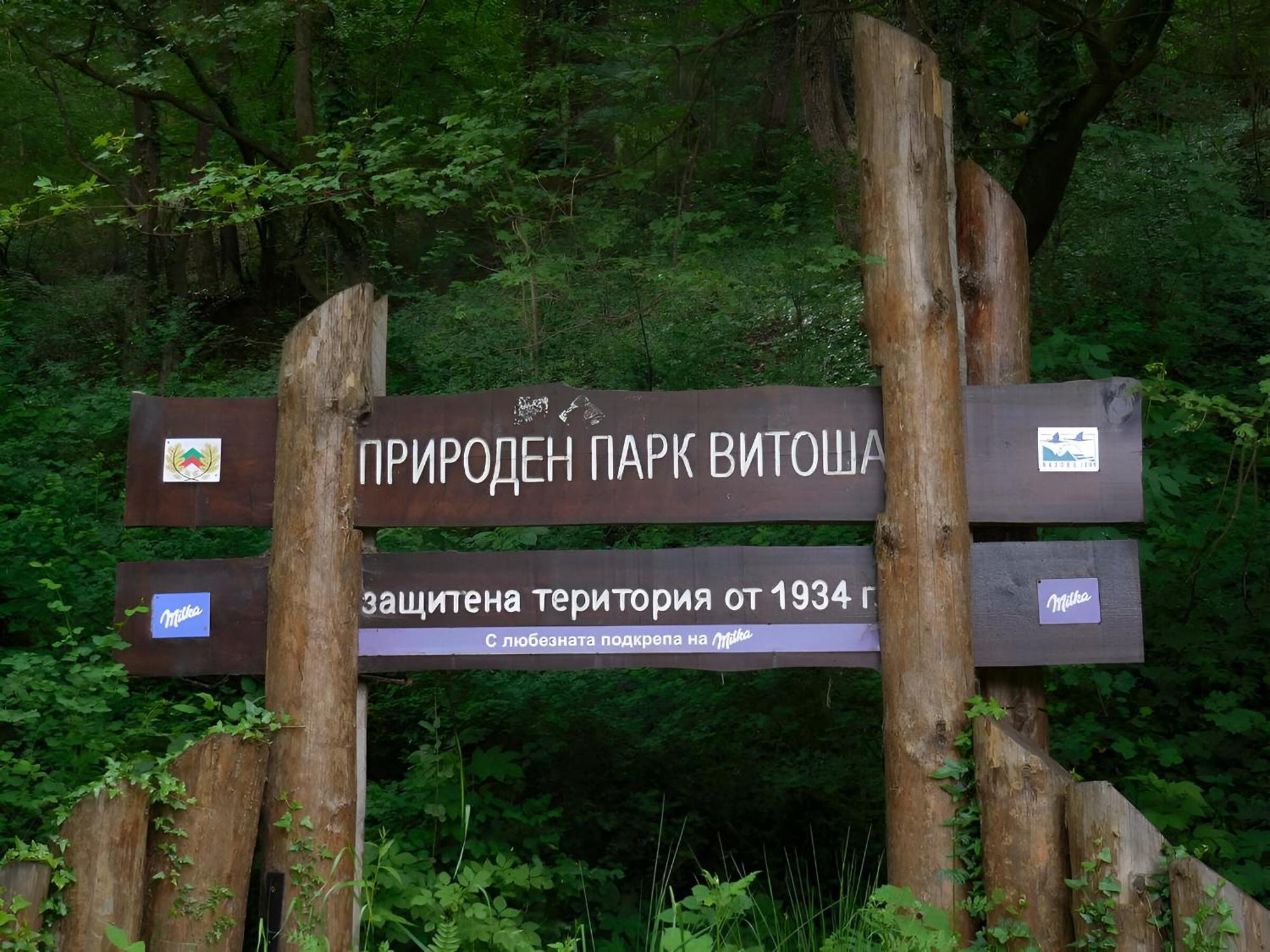 Pinus Villas Lodge With Private Jacuzzi & Phyto-Sauna Retreat Zheleznitsa Exterior foto
